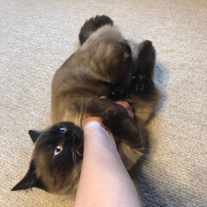 6d8848c6 67ae 4c07 a11f 054b28980b9b 1618709743166