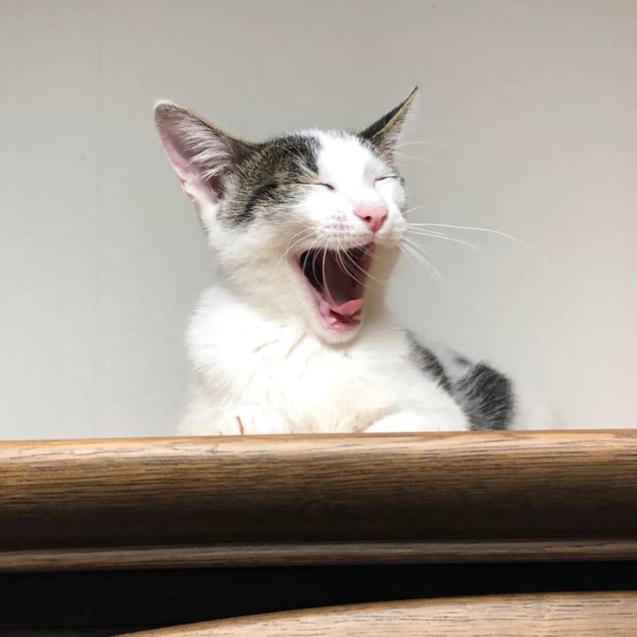 6d885c98 b96b 4f7d b1bb 6d9d53eddbbd 1570618124946