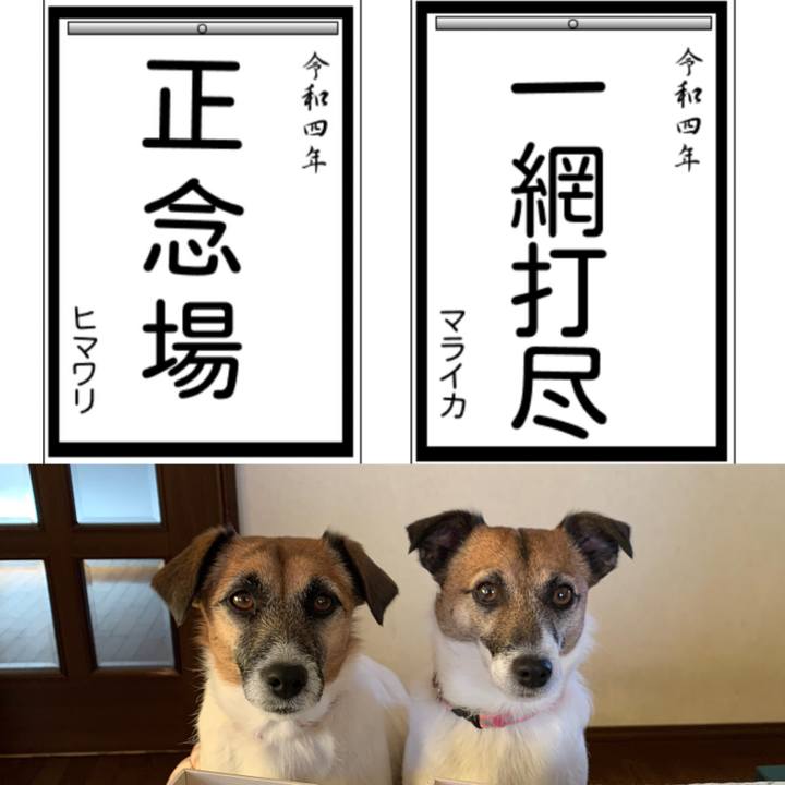 6d886cc3 feda 4529 a347 67c331ef03de 1641035691406