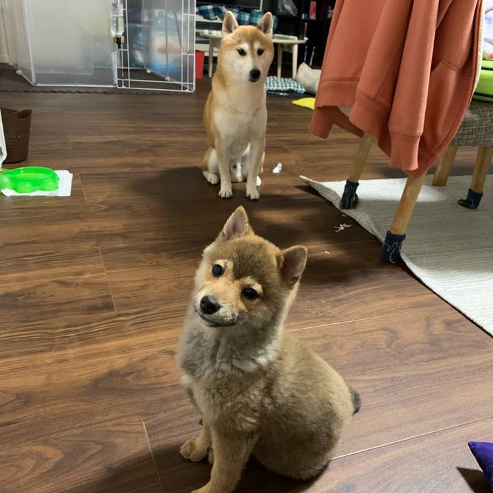 6d887f3d 4002 440d a462 93dc26548a61 1617713737322