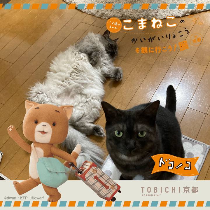 6d8894b2 9394 48ca ad77 00324515f980 1740700820523