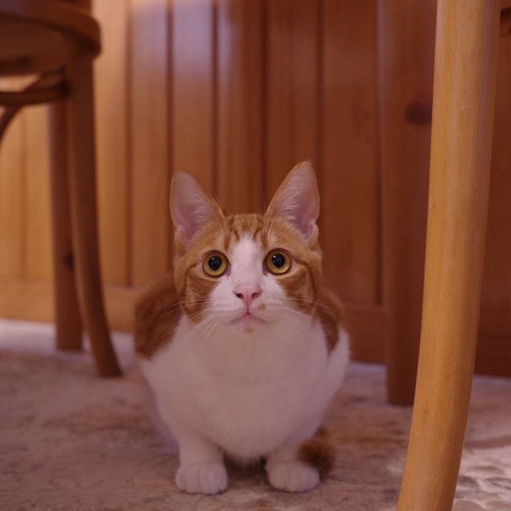 6d889798 ece2 40d9 8c20 54d4791ac66e 1765408924286