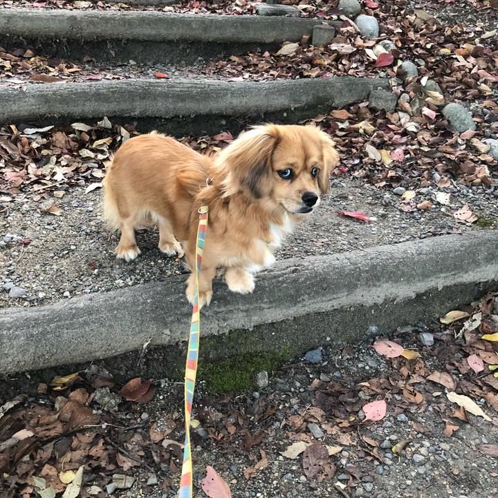 6d88a2aa 2487 465a a602 810cc70d72b4 1511651641658