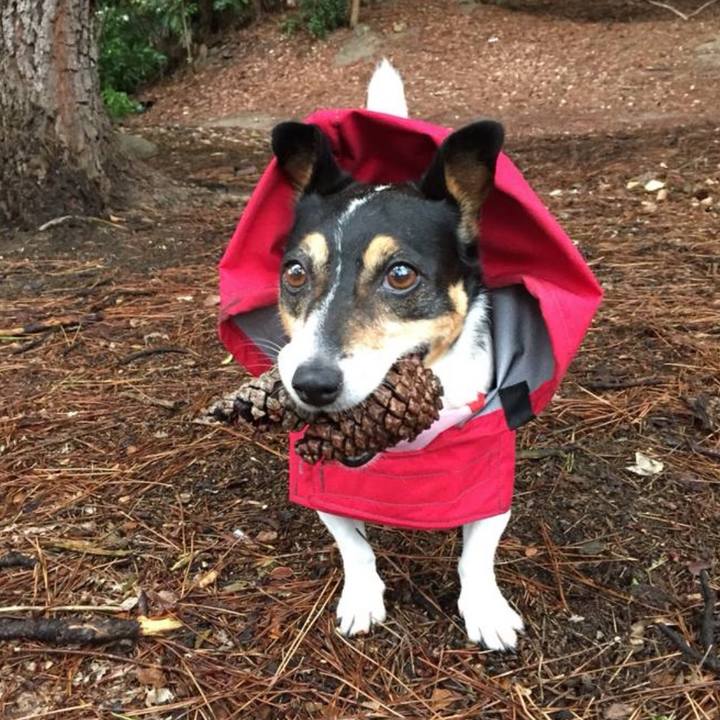 6d88a8b4 88ed 479d 8760 eb113cab4eac 1758774447856