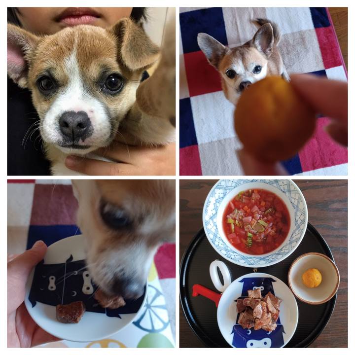 6d88aa19 48a9 4897 aa5b 15c80af40498 1766010136724