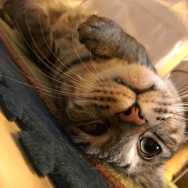 6d88e346 3907 4f48 905a 987ededcf419 1515993222718