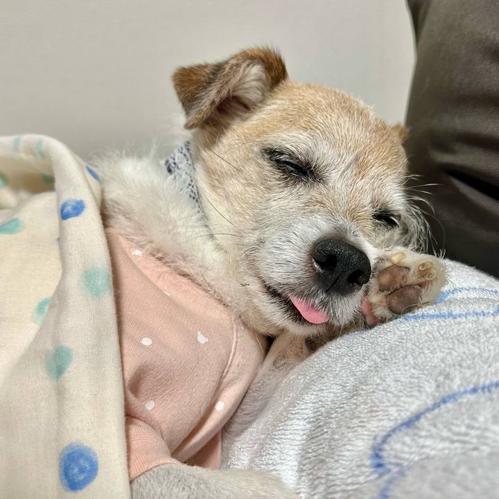 6d8907b9 5751 4ea1 bd97 20417cff44f4 1715077823692