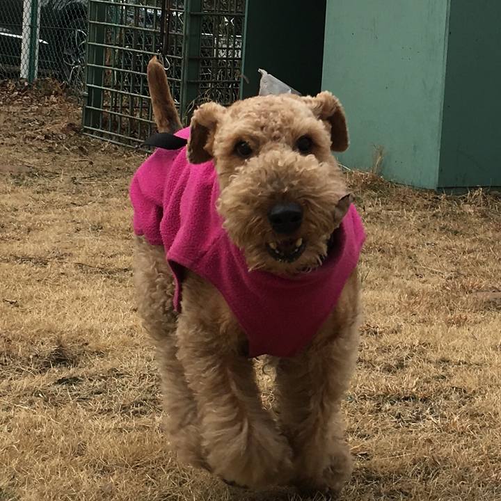 6d892822 e871 4ac8 8a5a ccf90337b23c 1519182643278