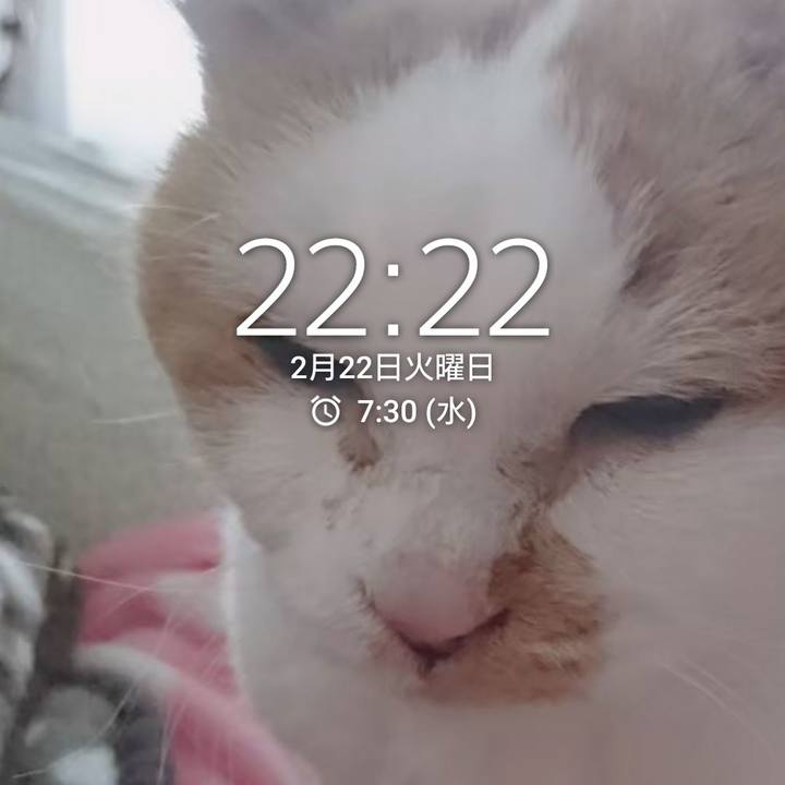 6d8973cc a951 495b 81cc da1cd64bd2c0 1645536511989