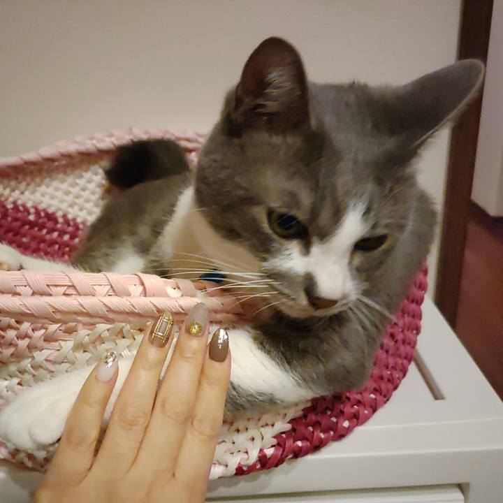 6d8980df 183e 4b58 a9ed 0949c601d2c5 1666706019403