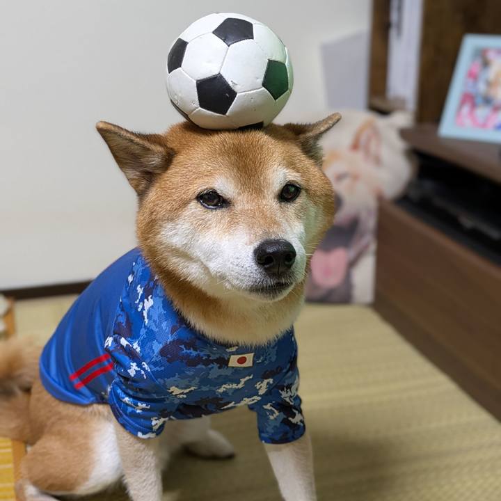 6d8981a7 056e 4182 a598 fb334c223dea 1760444781817