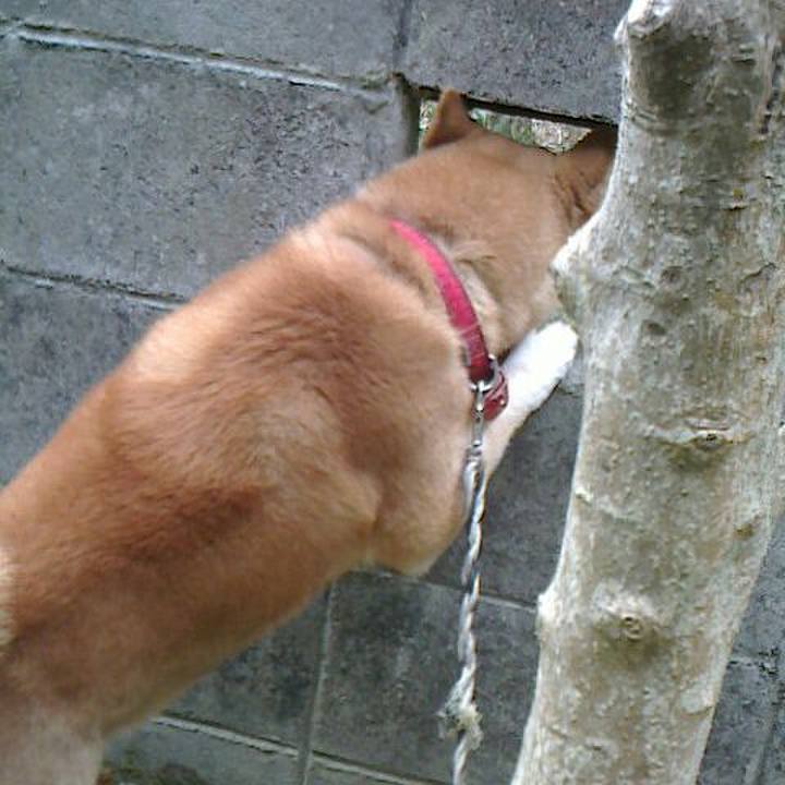 6d89923e 9d4d 48b2 b806 854f696ae6b8 1519262007031