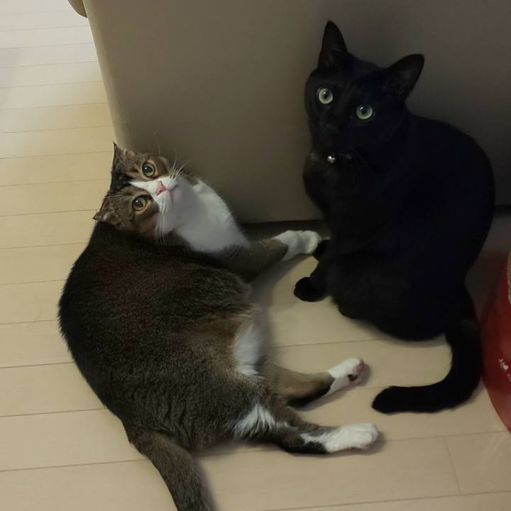 6d89c708 ce8d 4f5d aa94 1b148dd1ec8f 1609469278294