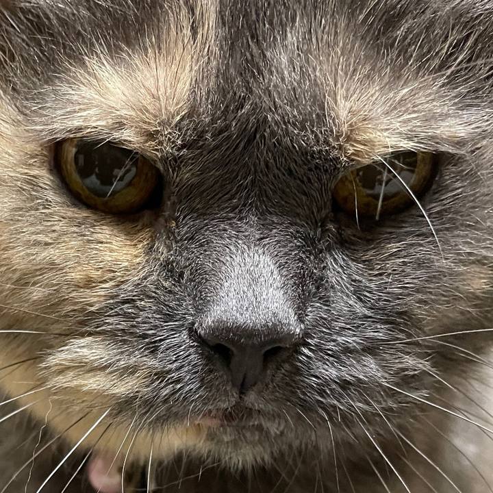 6d89cc30 cc04 4014 b4ef 3d3f9b867248 1721053364256