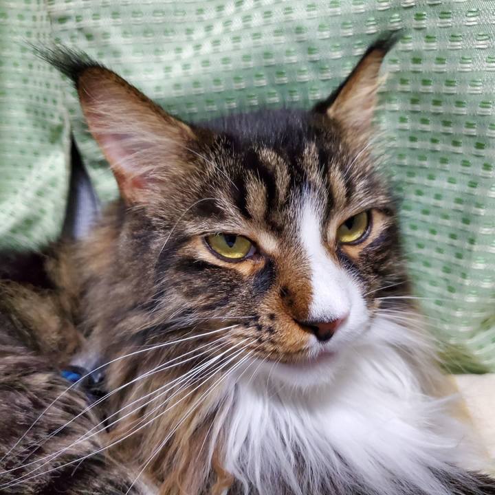 6d8a1537 4907 4caf aa42 8517484fdf19 1731543718711