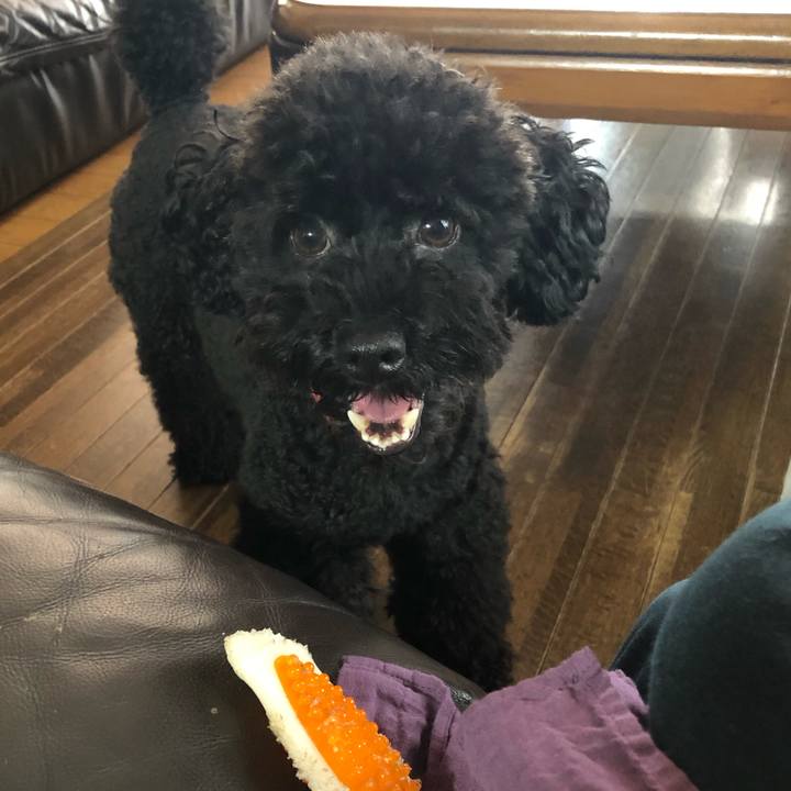 6d8a56f6 1b99 4605 adcf ccaa97297a88 1568154826130