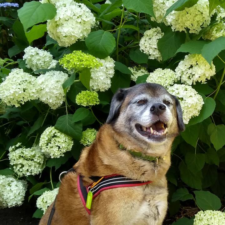 6d8a7e1f 9270 421d abda c71c43f3fdb9 1560385235187