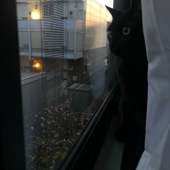 6d8a9b3a 276f 4b0c 98ee 8d9729955438 1605434688314