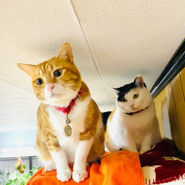 6d8ad644 9e5b 4049 92d7 821f05233271 1703168306902