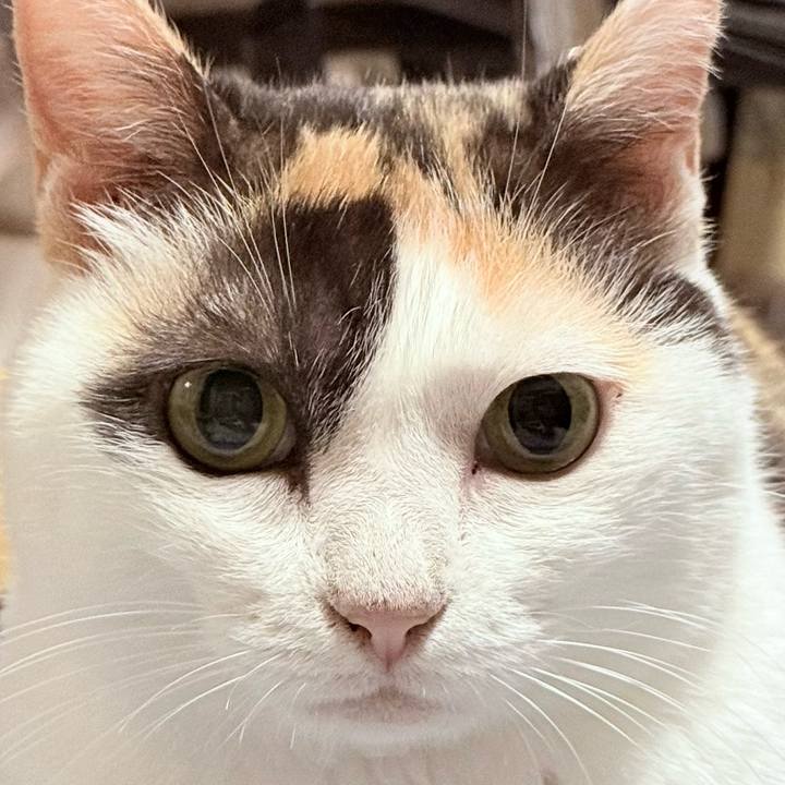 6d8b1471 eb33 4819 bc68 655f4aada4c5 1757988180336