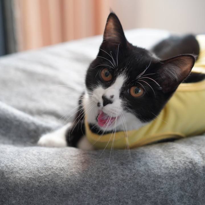 6d8b148f a6b7 4969 8508 fe7f6677719b 1578992945497