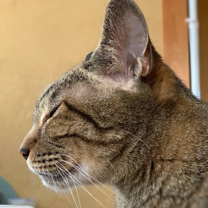 6d8b36e9 f6f8 403b a9e7 5a19c05c0b36 1567301028504