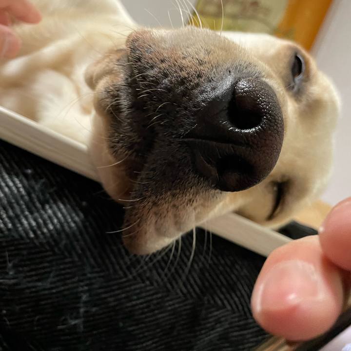 6d8b4596 183c 42de ae4a cf36f0d4c72b 1643062321308