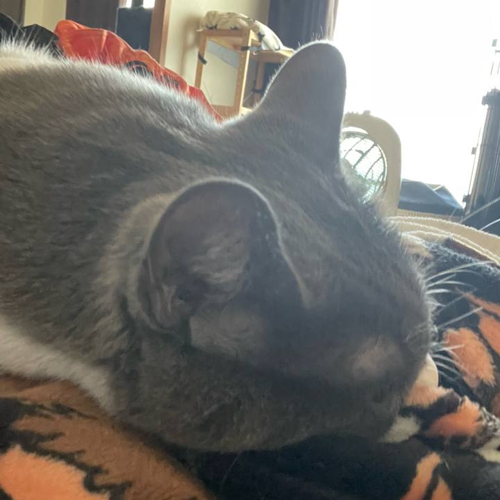 6d8b52c3 0d2f 4e49 ad27 46bfe68faacb 1754032683084