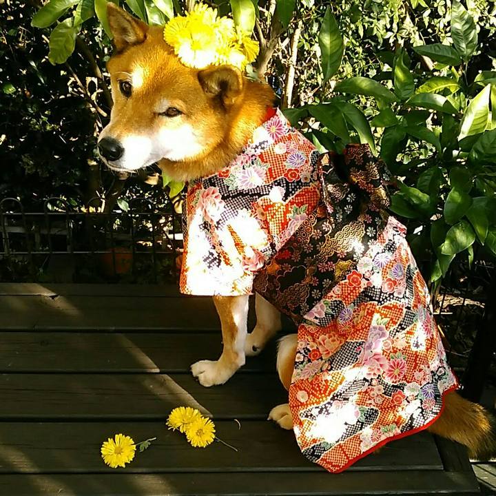 6d8b7fe3 dca5 4cb8 9997 1bc5f279dcee 1575529688543