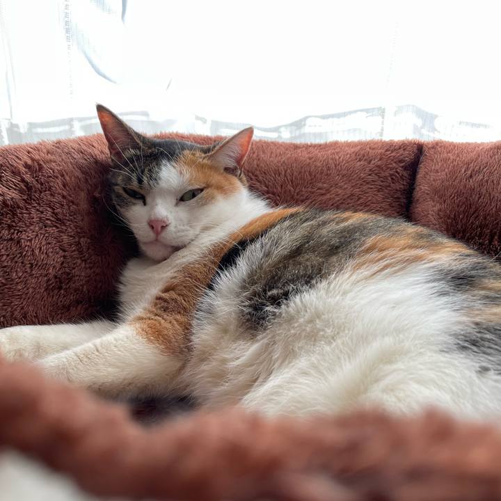 6d8bbd7a c869 42f7 bf5f 4d41f0f83312 1667106513997