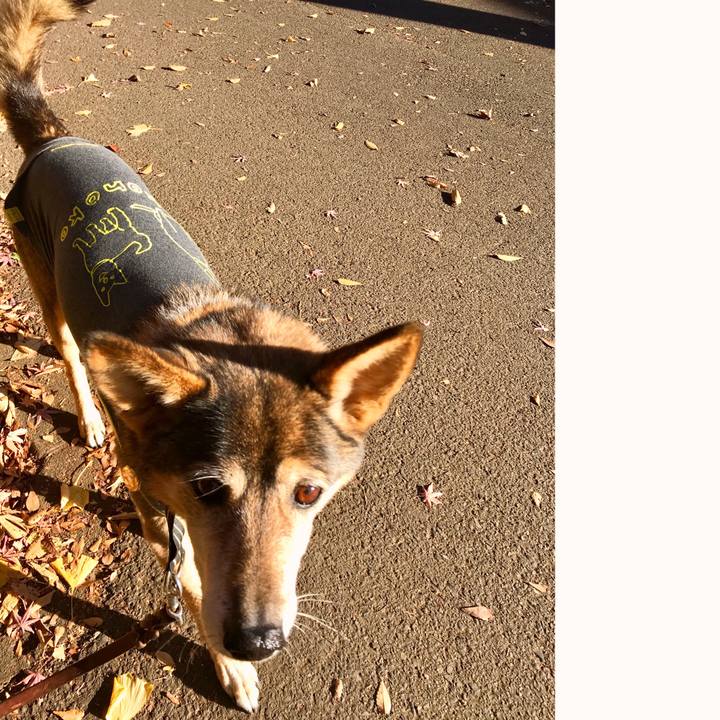 6d8c33d9 e94c 497b 9469 47d4414bbeea 1545203214823