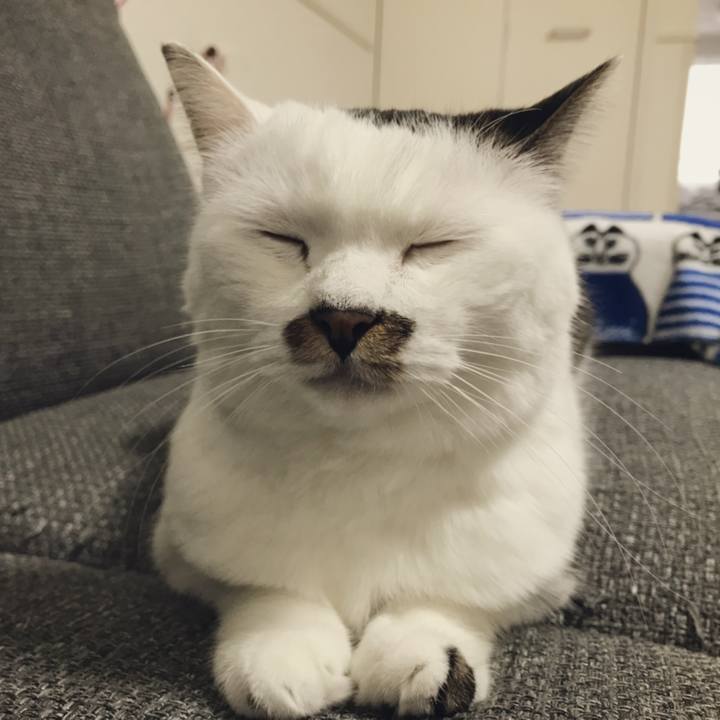 6d8c3c68 4c5c 4ffc 9ce3 c71b348803b9 1539514246898