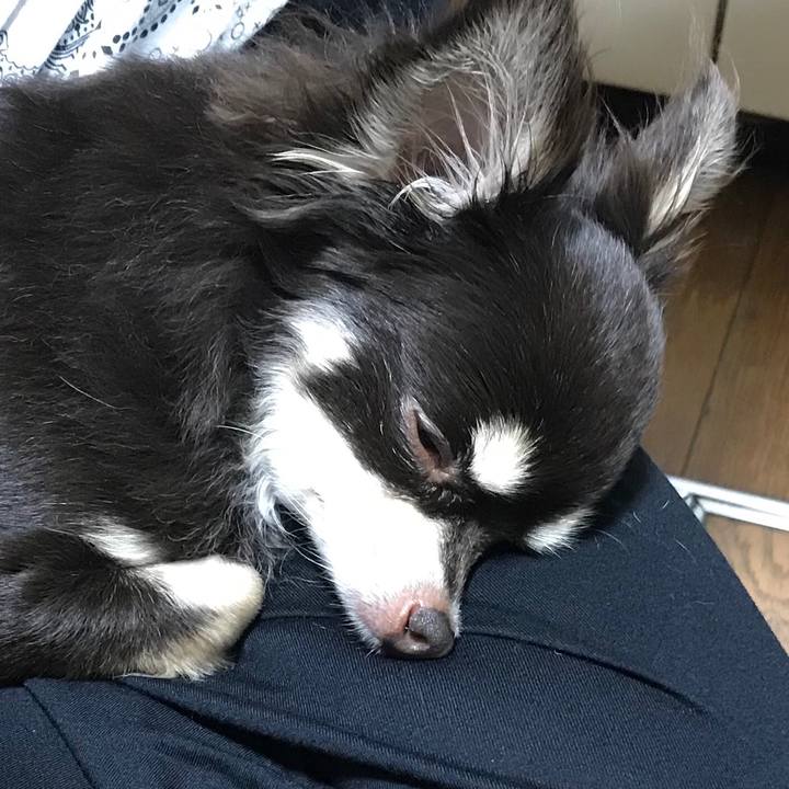 6d8c757c 550b 4f06 a7f1 6b1fcb22ad61 1534507263927