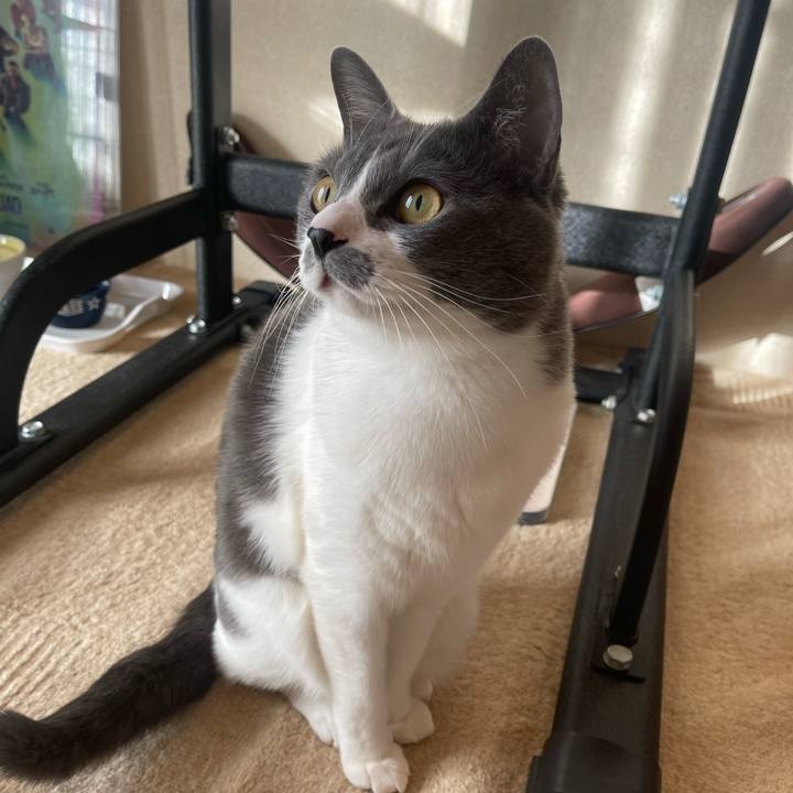 6d8c888c 2bfa 4972 b66d a472b56555ce 1674603464209