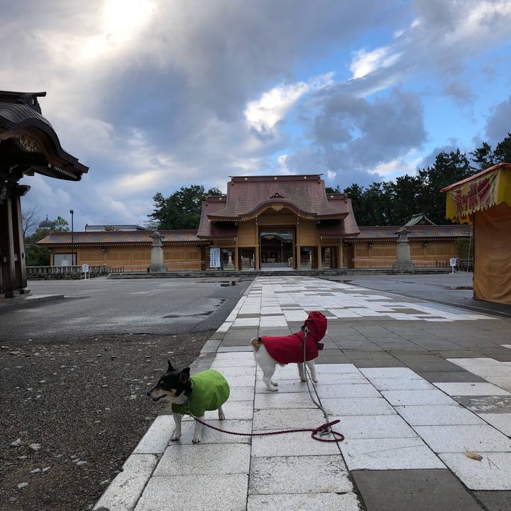 6d8ca714 c49f 4ce6 8f71 d62d8a68192a 1540872635928