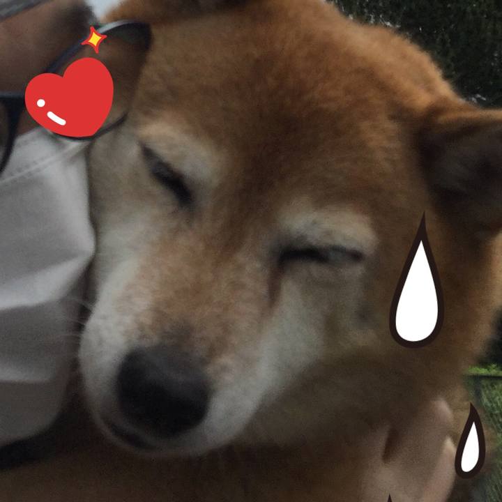 6d8cbe6d bead 4bb0 ab96 0d2cf0a94fe6 1624162715003