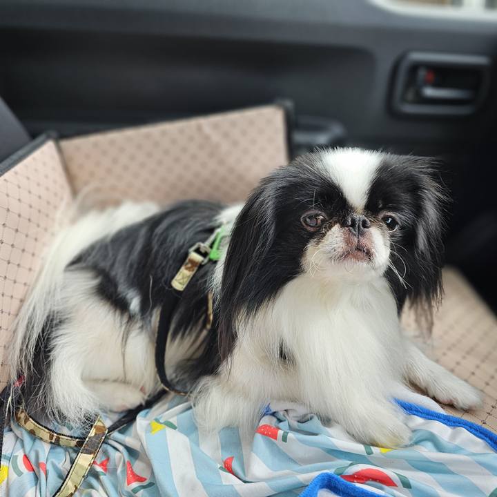 6d8cef03 c7a2 488c 8e7e 3f244f88834c 1721032537037