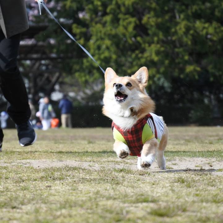 6d8cf0aa 2adc 4837 a642 3599a55b583d 1554774993754