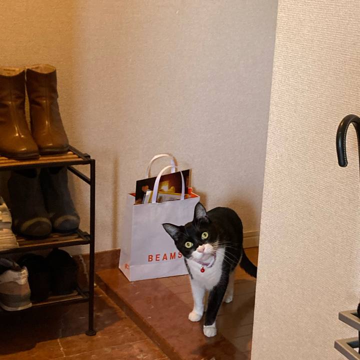 6d8d044d 3394 44a4 a986 af16208a6c15 1651809577572