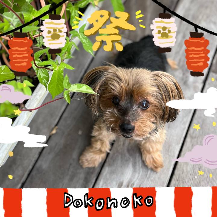 6d8d07d7 d84d 4415 ade5 5e1659613128 1723185226607