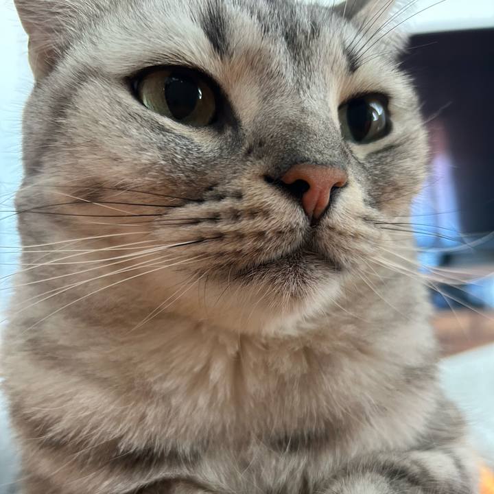 6d8d4dc2 ce10 4327 a3ec b8a0ac1424f2 1700269663422