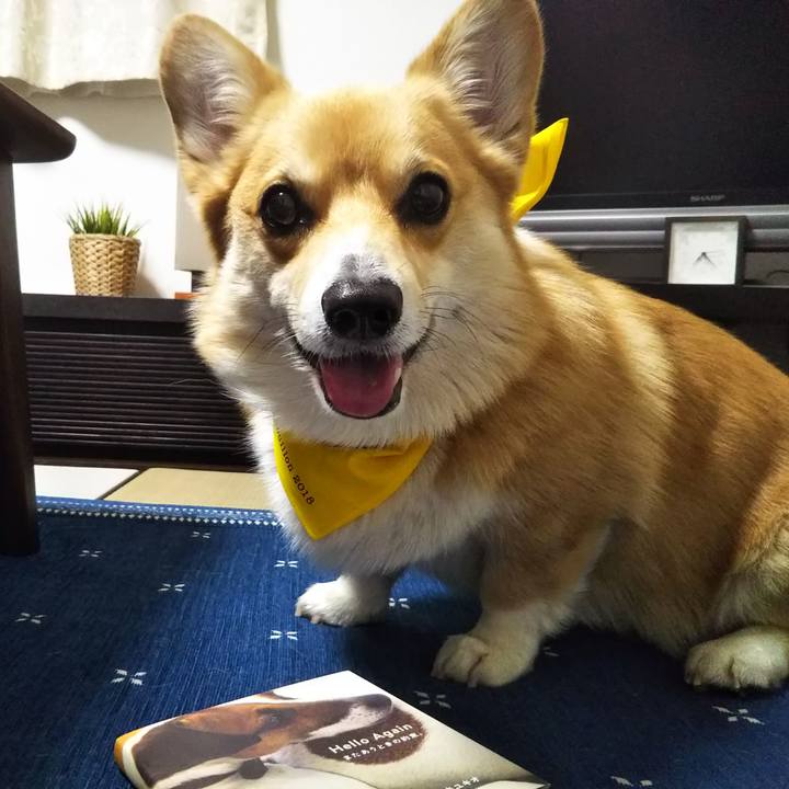 6d8d4f0d 02ae 497a a08c 29e723fb3615 1527244051654