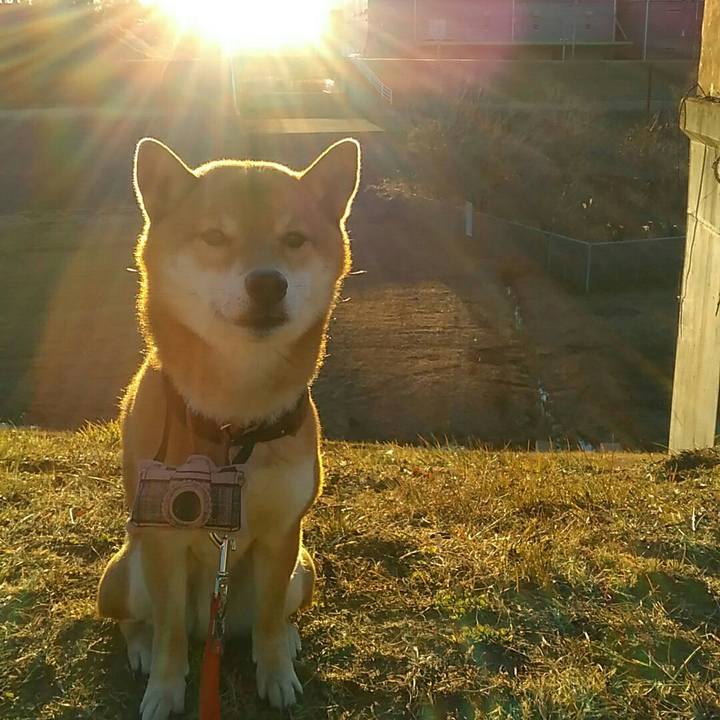 6d8db243 7434 4ea6 afba b2f294b2d799 1548575143987