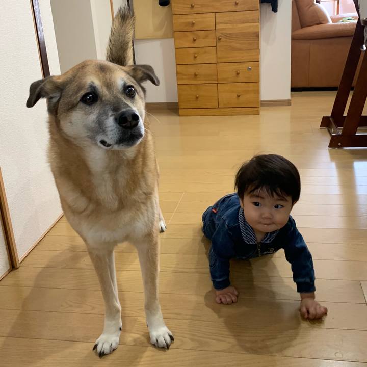 6d8dbd51 5f93 465b 8944 8b6caff88b77 1555074394616