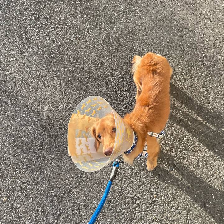 6d8de71d 9747 44fa 8d73 6b23e374bb72 1739195056164