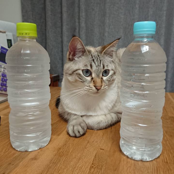 6d8dece4 82dd 4aec 90c3 6f5c50e92cc3 1570791113548