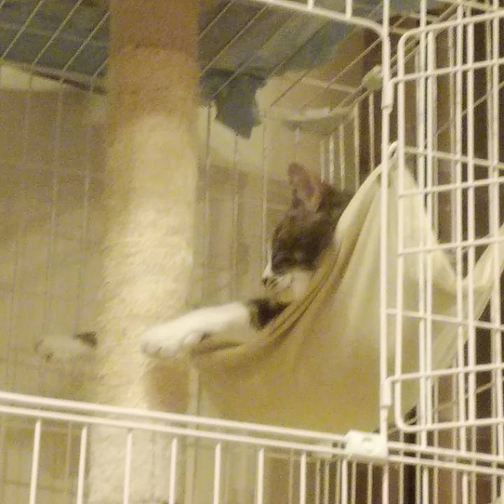 6d8e01f6 b3a3 4c79 9421 7c8437d7216d 1588334311363