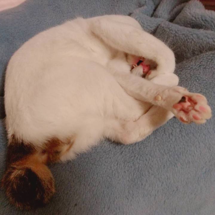 6d8e2c7e b842 47ac 80ea 9cd6299ac9eb 1682684800343