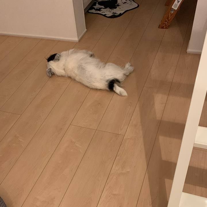 6d8e3fe1 c4cb 47d7 85cc 7fd4724ed737 1688819015242