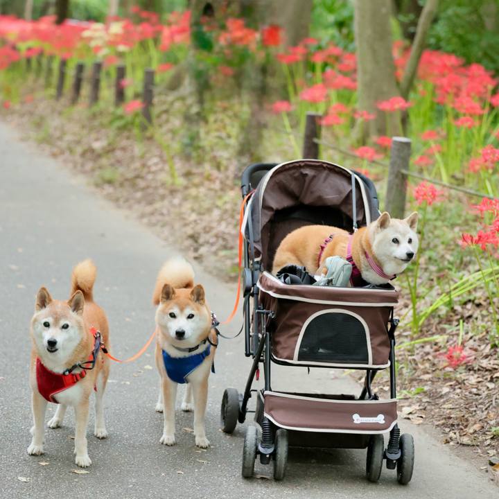 6d8e489f e895 4f3e 9cbf 75fe391eb8c1 1759159680272